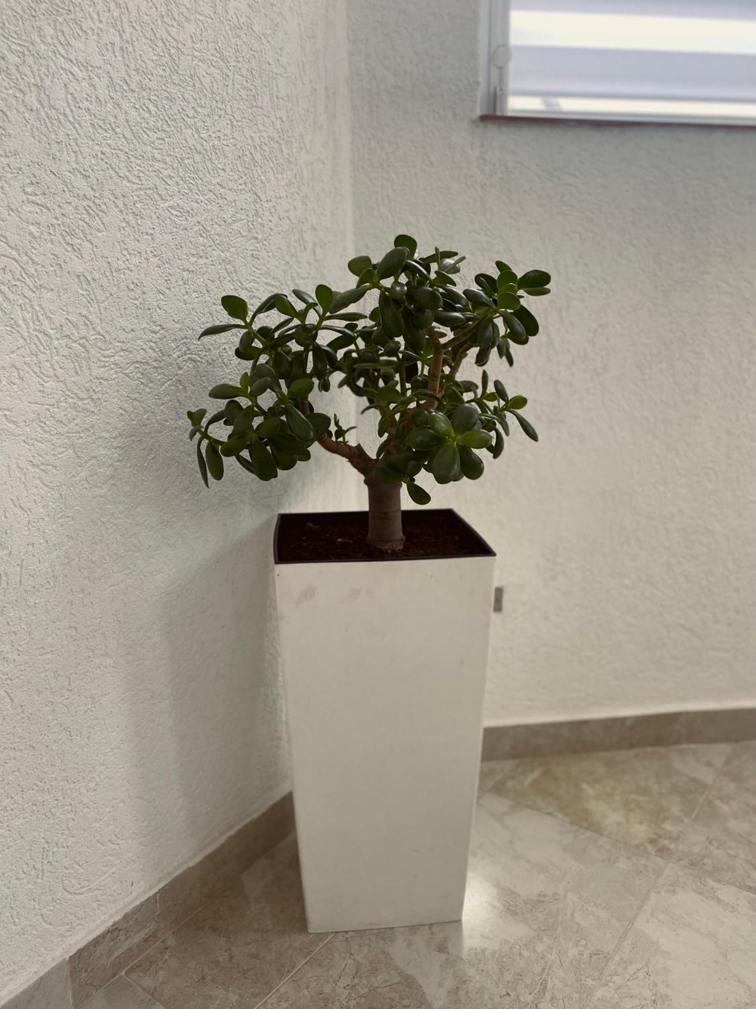 Greenhill Apartments Куманово Екстер'єр фото