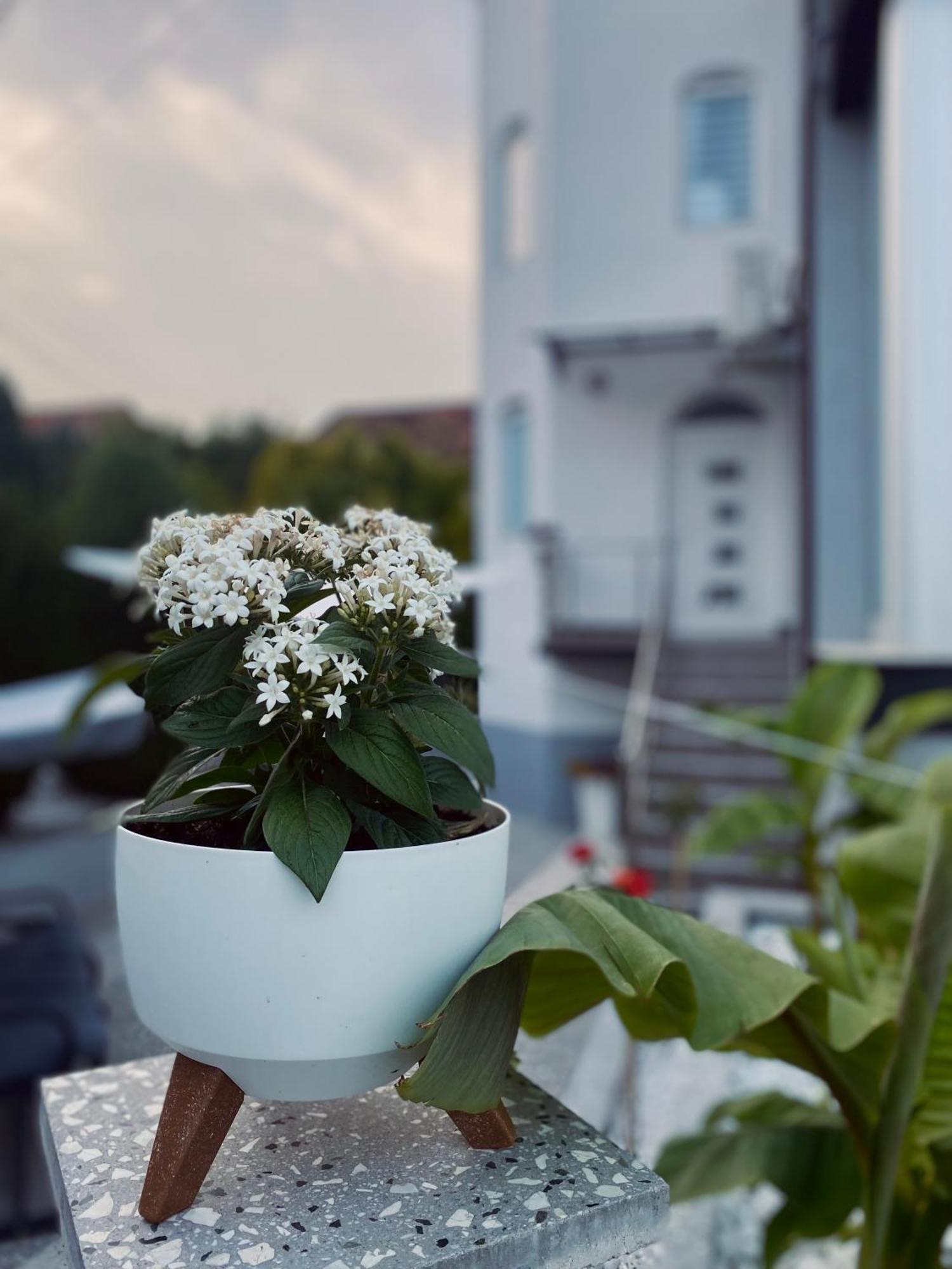 Greenhill Apartments Куманово Екстер'єр фото